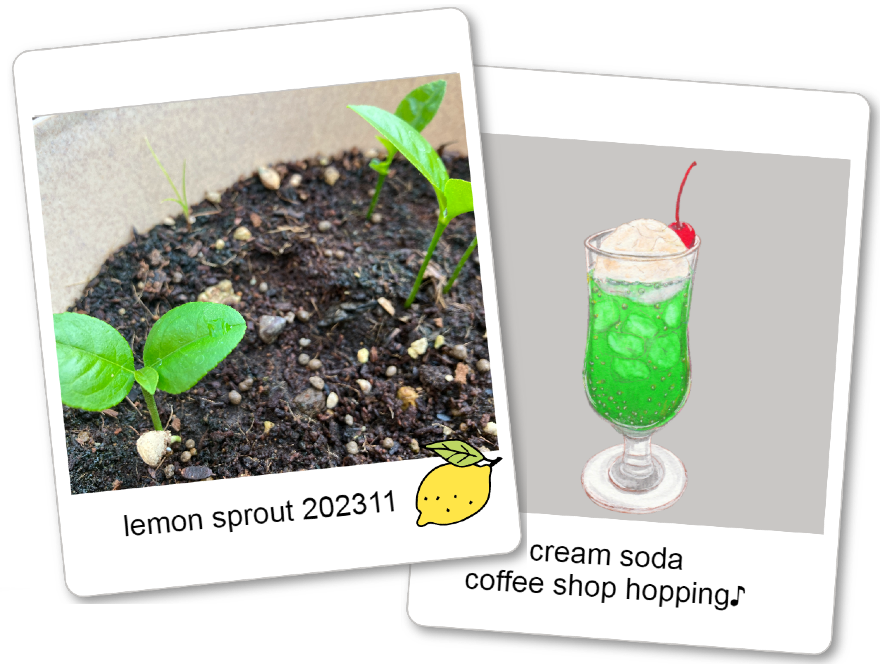 Iさんが育てているレモンの芽吹き写真とクリームソーダのイラストイメージ