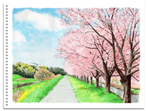 桜並木のイラスト
